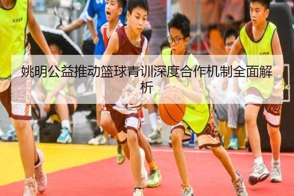 姚明公益推动篮球青训深度合作机制全面解析