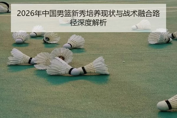 2026年中国男篮新秀培养现状与战术融合路径深度解析